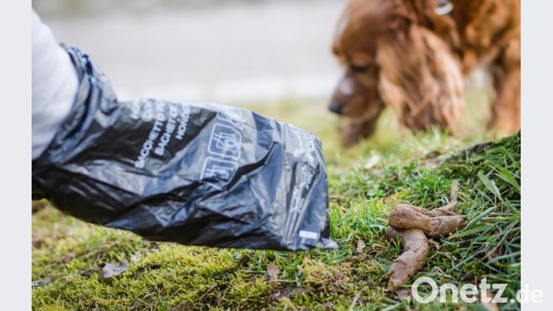 Die Vilsecker Stadtverwaltung will gegen Tretminen vorgehen. Notfalls droht uneinsichtigen Hundebesitzern auch ein Bußgeld. Bild: Christoph Schmidt/dpa