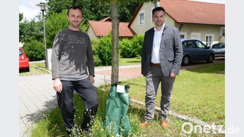 Olivgrün sind die Bewässerungssäcke, die der Markt Luhe-Wildenau für die Bäume und Sträucher vorrangig am Marktplatz in Luhe, aber auch in den Hauptstraße in Oberwildenau und Neudorf anschafft. Damit will der Markt dem "Hitzestress" der Bäume entgegenwirken, sagte Bürgermeister Sebastian Hartl bei der Vorstellung der Errungenschaft gemeimsam mit Bauhofleiter Stephan Gloßner. Bild: bey