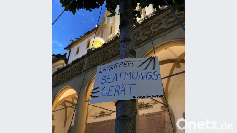 Nicht nur die Bäume brauchen unsere Hilfe, es gilt auch umgekehrt. Bild: exb