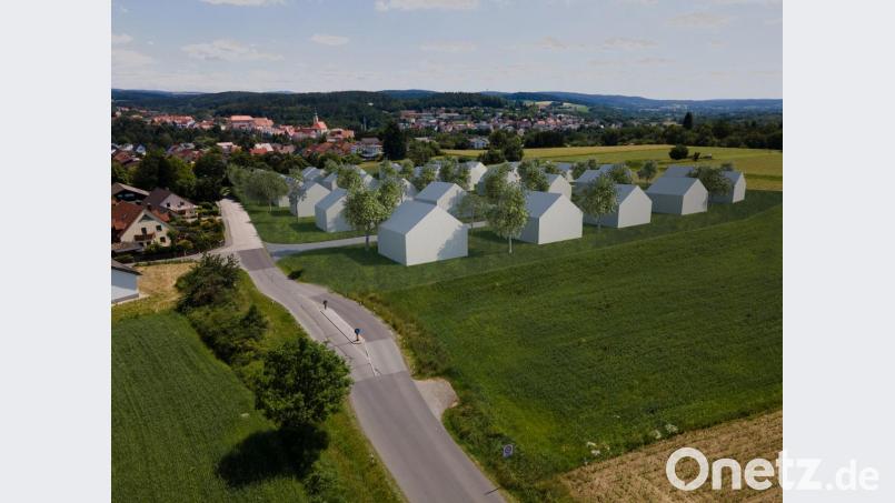 In einer Computersimulation hat Architekt Georg Binner die Häuser des vorgesehenen Baugebiets "Breiter Weg II" rund um die ringförmige Erschließungsstraße drapiert. Die Ansicht zeigt die Ortseinfahrt am Breiten Weg aus Westen mit Blick auf die Stadt. Bild: Binner Architekten/exb