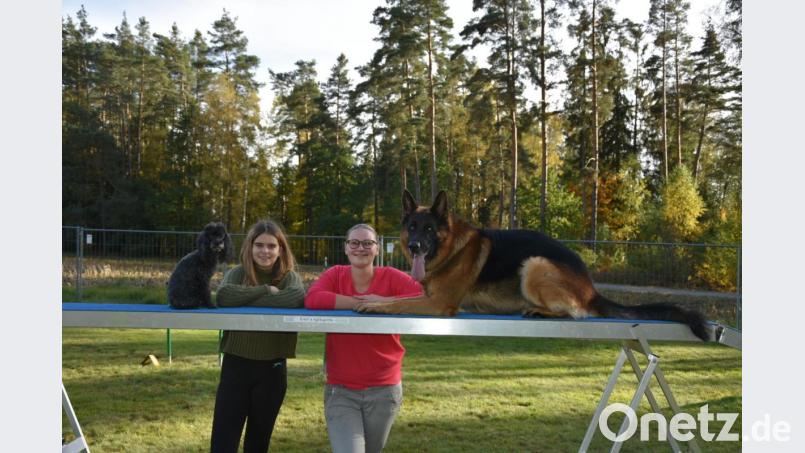 Leonie Kreitner-Melchner und Elena Willecke haben viel Freude mit den Hunden Emmi und Henry von der kleinen Ranch. Auch im Kinderferienprogramm des Schäferhundevereins geht es tierisch zu. Bild: Markus Willecke/exb