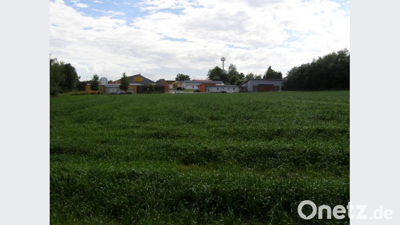 Auf rund 5,4 Millionen Euro ist die Bodensanierung der 1,8 Hektar großen Fläche an der Baumeister-Emil-Engel-Straße (im Hintergrund) veranschlagt. Die Stadt Waldsassen erhält dafür eine großzügige Förderung. Bild: pz