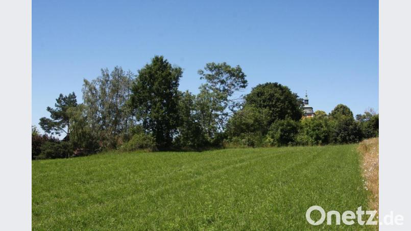 Die Nachbarschaft zur Kreuzbergkirche (zwischen den Bäumen rechts) war eines der Themen bei der Diskussion um die Bauleitplanung „Am Sonnenhang – Östlich Kreuzberg“. Bild: wro