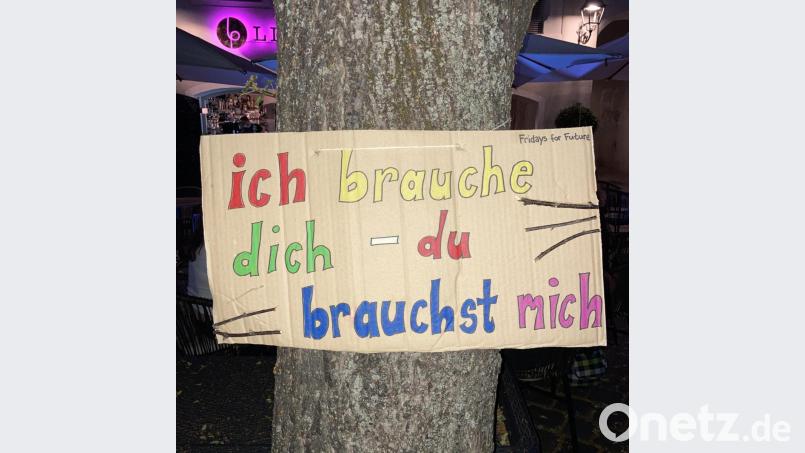 Nicht nur die Bäume brauchen unsere Hilfe, es gilt auch umgekehrt. Bild: exb