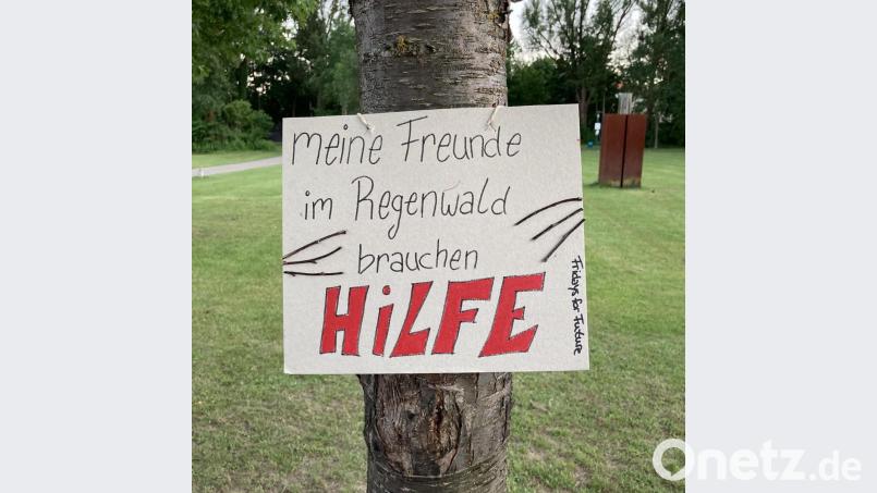 Nicht nur die Bäume brauchen unsere Hilfe, es gilt auch umgekehrt. Bild: exb