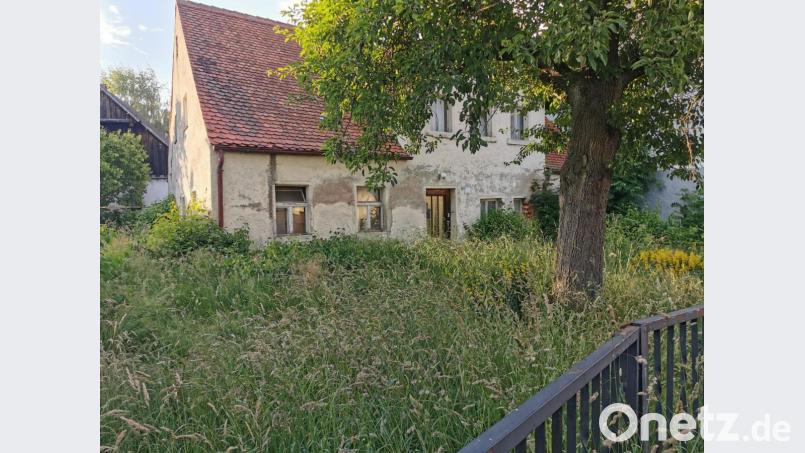 Das direkt an der Kapellenstraße befindliche alte Gemäuer mit dem hohen Gras ist kein schöner Anblick. Bild: gz