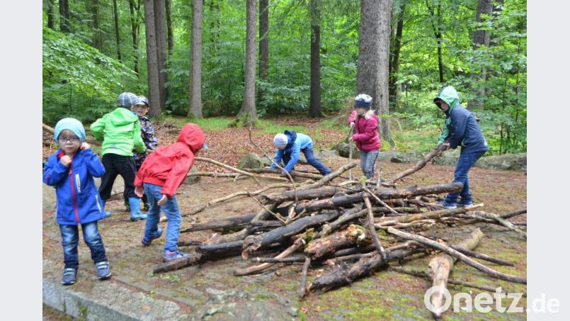 Eifrig waren die Kinder beim Holzstöcke sammeln. Doch auch Naturbingo, ein Kletter-Parcours oder ein Waldmemory schärften die Sinne der Teilnehmer. Bild: dob