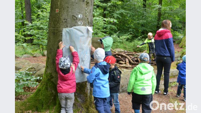 Ihre helle Freude hatten die Kinder beim Rinden--Rubbel-Bild. Bild: dob