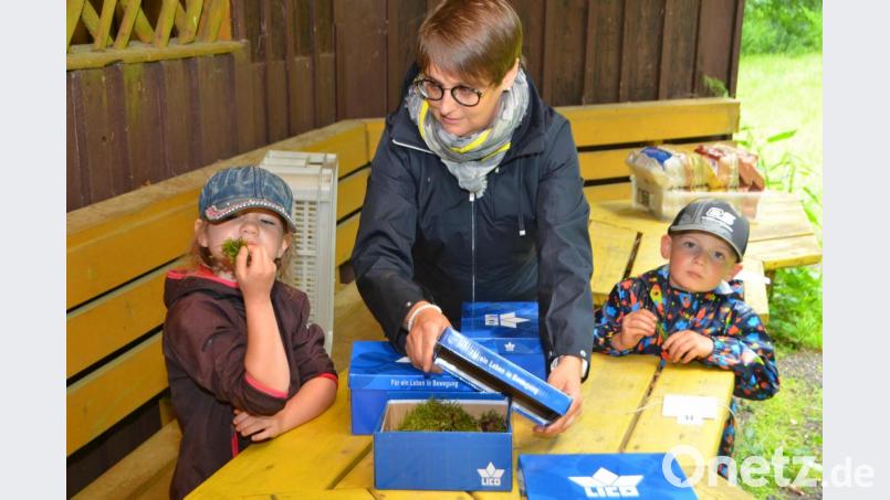 In bunten Schachteln, die als Fühl- und Tastkisten umfunktioniert wurden, versteckte Projektleiterin Julia Dobmayer ein Stück Rinde, Zapfen, Eicheln, eine Feder, Moos oder ein Schneckenhaus, das die Kinder erfühlen durften. Bild: dob