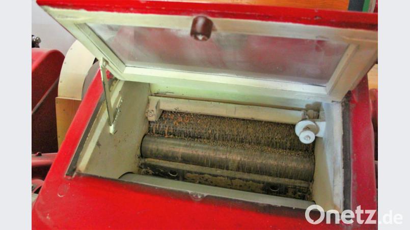 Korn muss gemahlen werden, um daraus Mehl zu machen – an diesem Produktionsschritt hat sich seit Jahrhunderten nichts geändert Bild: Stiegler