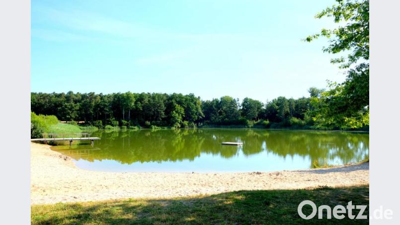 Das Wasser im Forsterweiher ist aus gesundheitlicher Sicht für den Badebetrieb gut geeignet. Zu diesem Ergebnis kommt eine Laboruntersuchung. Bild: mab