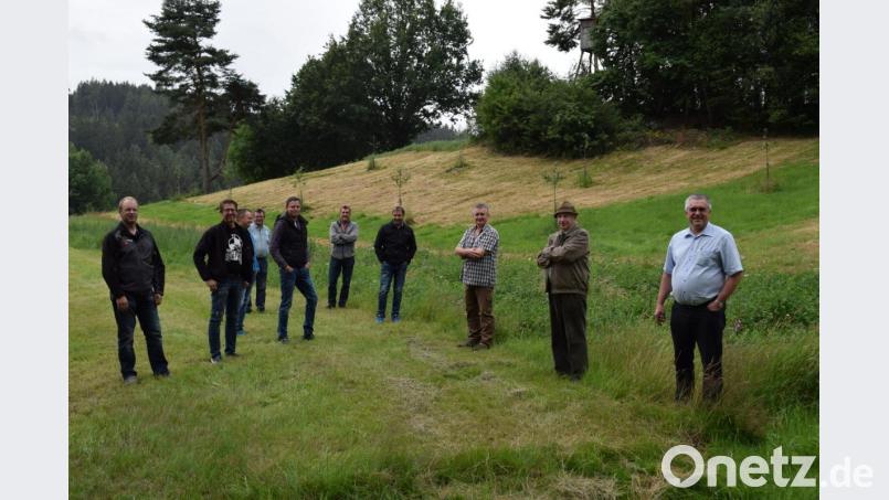 Auf einem stadteigenen Grundstück legten die Jagdpächter Dietmar (Dritter von rechts) und Albert Maier (Zweiter von rechts) eine Streuobstwiese an. Der Bauausschuss war mit dem Ergebnis mehr als zufrieden. Bild: bnr