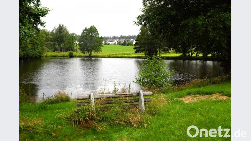 Der unkomplizierteste Weg der Entsorgung wäre, den Regenwasserkanal in den Mühlweiher einzuleiten. Doch dem müsste auch der Eigentümer zustimmen. Bild: bkr