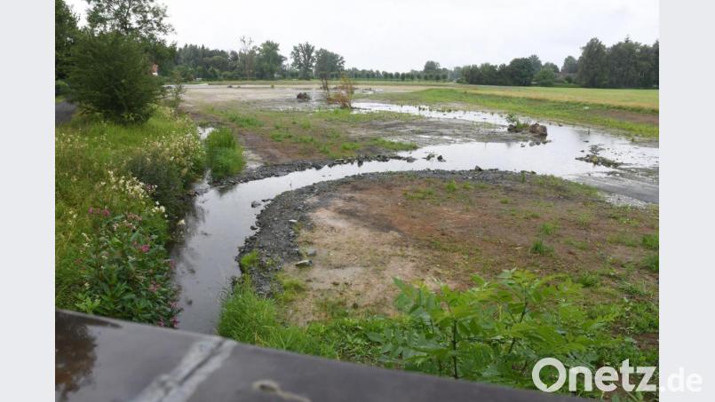 Der Krebsbach mäandert durch sein neues, riesiges Regenrückhaltebecken. Bild: Gabi Schönberger