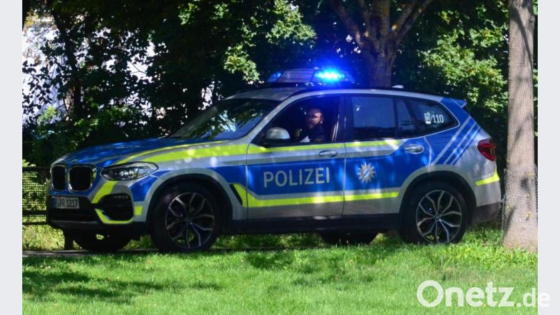 Mit Blaulicht wurden MdB Stefan Schmidt und seine Demonstranten in den Max-Reger-Park zurückbegleitet. Bild: Kunz