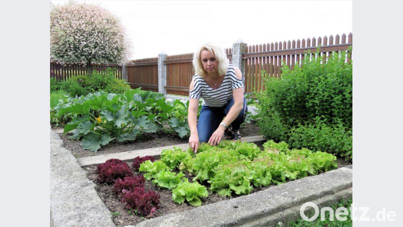 Kerstin Schraml hat einen sehr gepflegten Gemüsegarten. So übersichtlich macht Gartenarbeit richtig Freude. Bild: ubb
