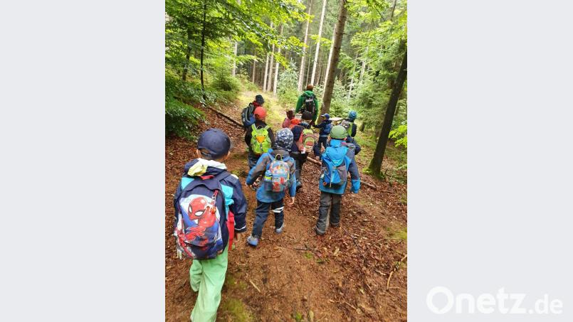 Zwei Wochen lang der Natur im Hessenreuther Wald auf der Spur sind die Mädchen und Buben der zwei Kindergartengruppen der Trabitzer Kindertagesstätte. Bild: bjp