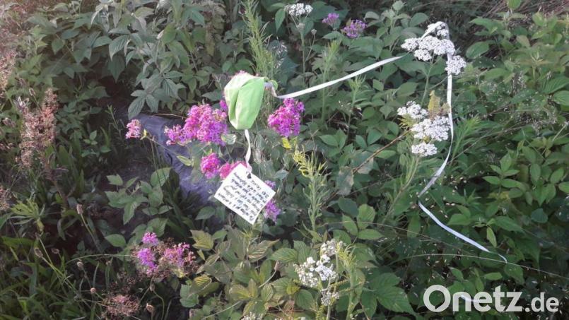 Corona-Reisebeschränkungen zum Trotz: In Gebhardsreuth bei Moosbach wurde ein Luftballon aus Frankreich gefunden. Bild: Voit/exb
