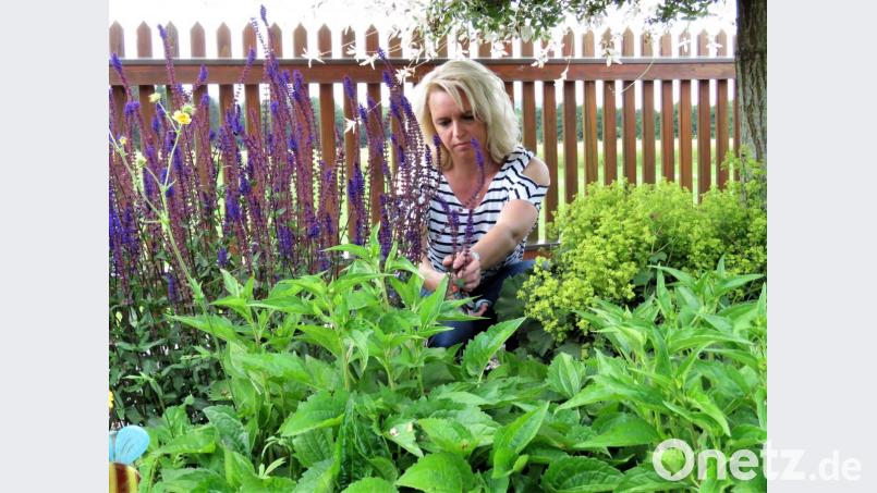 Was Kerstin Schraml über Pflanzen und Gartenbau gelernt hat, setzt sie jetzt in ihrem eigenen kleinen Reich ansprechend um. Bild: ubb