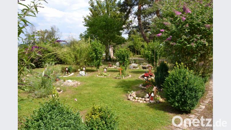 Blick in die parkähnliche Anlage des Tierfriedhofs. Um ihn in diesem Zustand erhalten zu können, sucht der Tierfriedhof-Förderverein tatkräftige Helfer. Bild: hcz