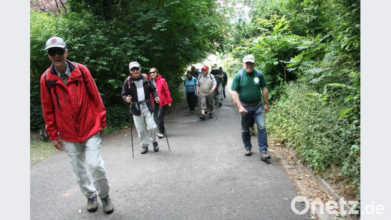 Die gut gelaunte Wandergruppe strebt dem „Gipfel“ des Schusterberges (616 Meter) zu. Bild: roh