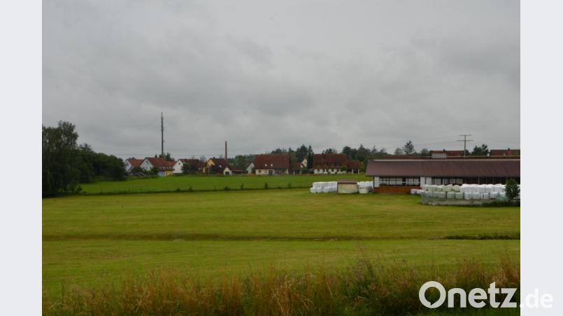 Auf dem rund 3000 Quadratmeter großen Areal hinter dem landwirtschaftlichen Anwesen sollen neun Reihenhäuser errichtet werden. Der Stadtrat verwehrt dem Vorhaben das gemeindliche Einvernehmen. Bild: dob