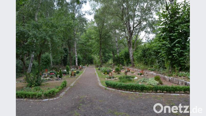 Die schön angelegten Gräberreihen werden meist liebevoll gepflegt. Trotzdem bräuchten die Aktiven des Tierfriedhof- Fördervereins noch tatkräftige Unterstützung. Bild: hcz