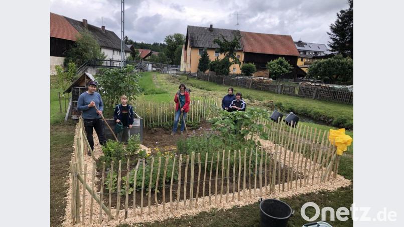 Nun umgibt ein Zaun den &quot;Wühlmausgarten&quot; des Gartenbauvereins Teunz. Bild: Günter Süß