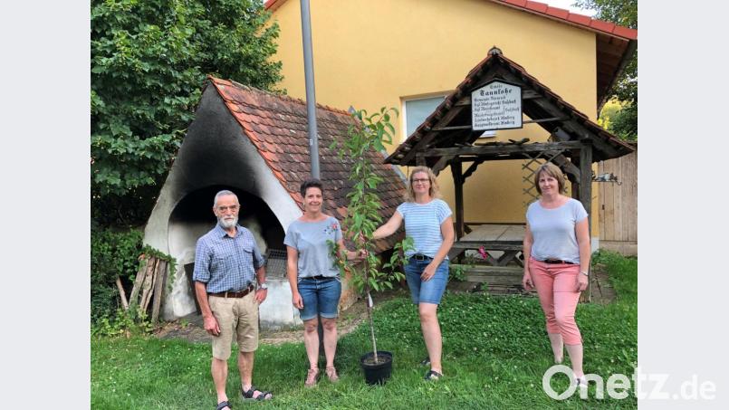 Mitglieder des Obst- und Gartenbauvereins Fürnried und Umgebung pflanzen in Tannlohe einen Kirschbaum. Bild: exb