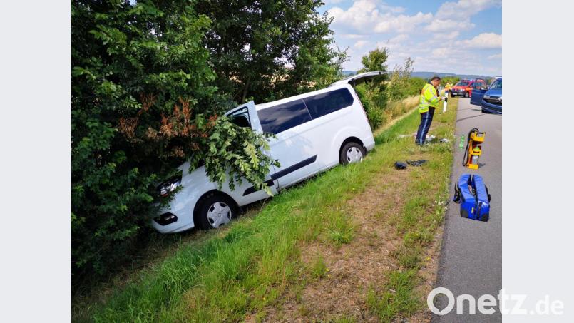 Durch eine Vollbremsung geriet der Kleinlaster ins Schleudern und kam im Straßengraben zum Stehen. Bild: Dobler