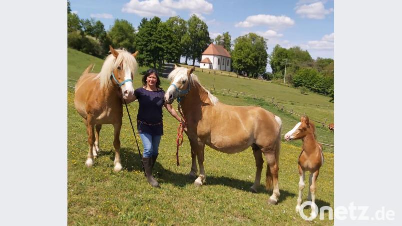Derzeit werden auf dem Hof von Familie Grassler-Schuhmann nur zwei Stuten gemolken. Katrin Grassler ist überzeugt von der Wirkung der Stutenmilch. Bild: Christa Vogl