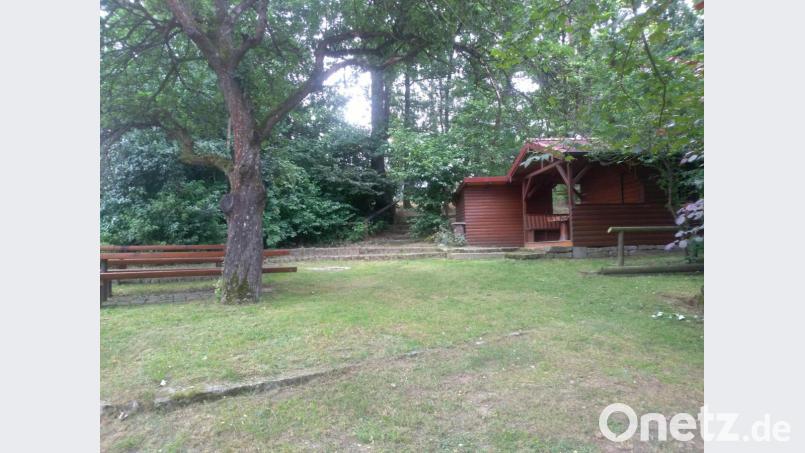 Der Grillplatz am Rotzenbühl; im Hintergrund soll der Abenteuerspielplatz entstehen. Bild: exb