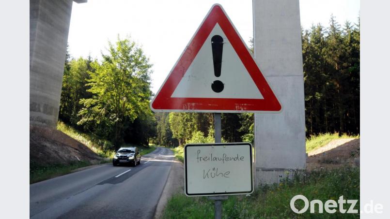 Auch dort, wo die Trasse der Autobahn über das Waldgebiet verläuft, sind Warnschilder aufgestellt. Bild: Stephan Huber