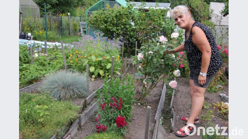 Seit 40 Jahren betreibt Gabi Härtl mit ihrer Mutter ihren 220 Quadratmeter großen Schrebergarten an der Mähringer Straße in Tirschenreuth. Bild: kro