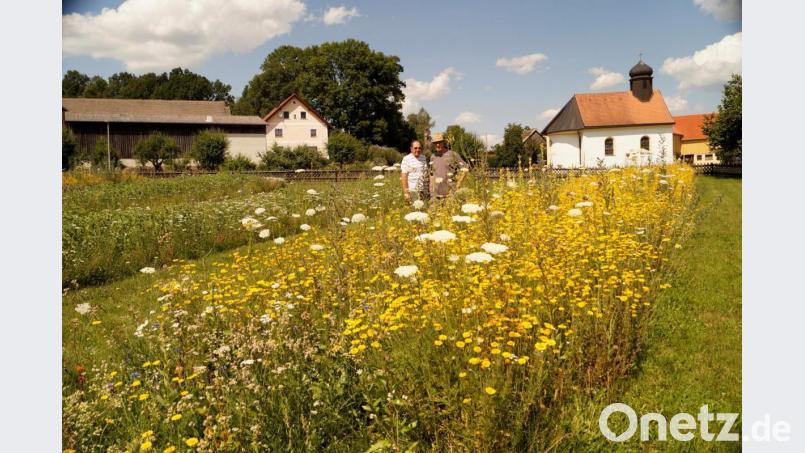 Mit Stolz zeigt Johann Beer (rechts) seinem Freund Ewald Witt die Blumenwiese. Bild: Johann Beer/exb