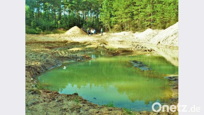 Man braucht schon Fantasie, um sich vorzustellen, dass aus dem Areal eine Kinderstube für Fische, Amphibien und Insekten werden kann. Jens Georgi und Adolf Küblböck von der LBV-Ortsgruppe Weiherhammer danken Grubenbesitzer Richard Suttner aus Pressath und Fritz Kick, dem Vorsitzenden des Fischereivereins Etzenricht, für ihre tatkräftige Mitarbeit (von links). Bild: jml