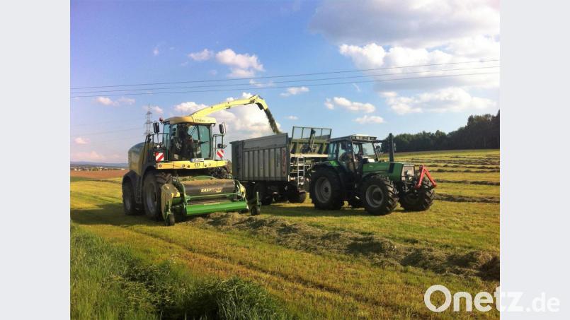 Das Grünland hat bei den bisher erfolgten Silageschnitten gute Erträge und qualitativ hochwertiges Futter geliefert. Nun rückt die Getreideernte ins Blickfeld. Bild: exb