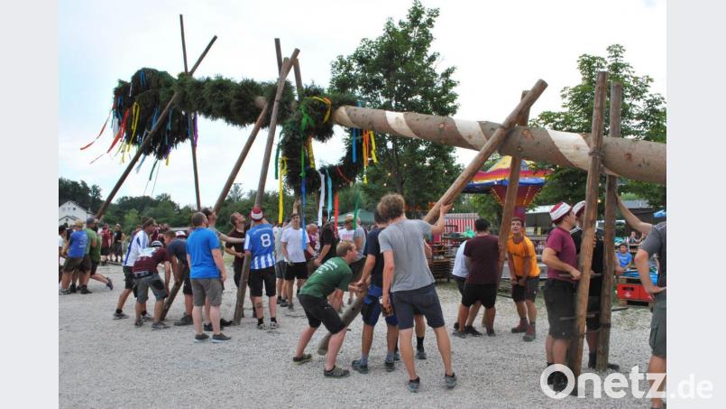 Alles Muskelkraft: Beim Baumaufstellen kommen die Raigeringer ohne technische Hilfsmittel aus. Bild: gth