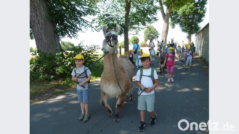 Der Spaziergang mit den Tieren machte den Kindern viel Freude. Bild: fpoz