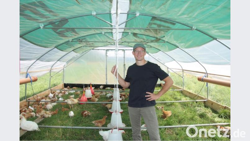 Bei seinen Hühnern fühlt sich der junge Landwirt Veit Straßer, der gebürtig aus Schirmitz stammt, am wohlsten. Sein erster Weg am Morgen und sein letzter Gang am Abend führen ihn auf die Wiese zu den mobilen Ställen seiner 600 Masthühner. Bild: exb