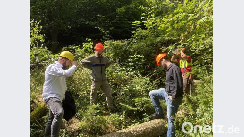 Bürgermeister Sebastian Dippold (links) macht sich ein Bild von den Schäden durch den Befall der Bäume. Bild: exb