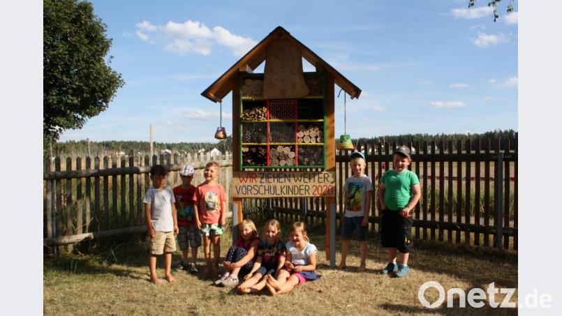 Ein &quot;Adlon&quot; für Wildbiene, Schlupfwespe &amp; Co ist das Insektenhotel, das die Eltern der scheidenden Vorschulkindergruppe als Dankeschön für das Personal des Trabitzer Kindergartens gezimmert haben. Ab September beginnen die Kinder ihre neue &quot;Karriere&quot; als Abc-Schützen an den umliegenden Grundschulen. Bild: bjp