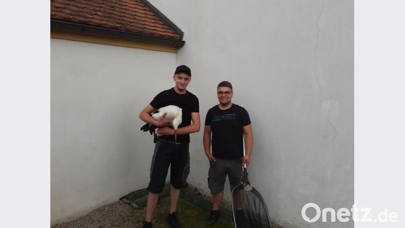 Die Mitarbeiter des Vogelbeauftragten, Tom Brandl und Alexander Kost, haben den verletzten Storch erfolgreich geborgen. Bild: Polizei Neustadt an der Waldnaab