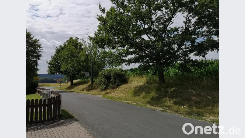 Entstehen wird das neue Pleußener Feuerwehrhaus im Bereich „Im Dorf“ nahe des Ortsausgangs, kurz vor der Einmündung in die Kreisstraße TIR 3. Auf dem dafür vorgesehenen Grundstück (rechts) wächst derzeit noch Mais. Bild: lnz