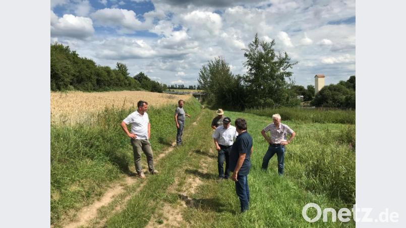 Die südwestlich von Fronhof verlaufende Wegtrasse ist einer von insgesamt sieben Wegen, die beim Ortstermin besprochen wurden. Das Bild zeigt (von links) Markus Zitzler (Bauaufsicht ALE Oberpfalz), Bernhard Piller (VLE Oberpfalz), Martin Graf (VLE Oberpfalz), Hans Vetterl (VLE Oberpfalz), Christian Wittmann (Vorstandsmitglied) und Josef Prey (Vorstandsmitglied).	Bild: Martin Stahr/exb Bild: Martin Stahr/exb