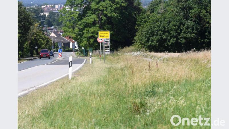 Die rechte Seite der Vohenstraußer Straße prägen landwirtschaftliche Flächen. Ein Mehrfamilienwohnhaus, wie beantragt, ist nicht vorgesehen. Die Stadtratsmehrheit will es dennoch genehmigen. Bild: Gabi Schönberger