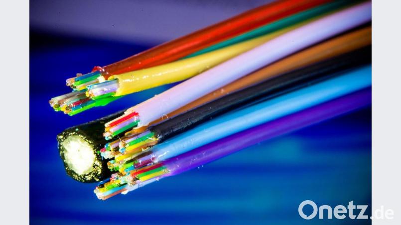 Ein Glasfaserkabel mit 144 Fasern. Bild: Jens Büttner/dpa