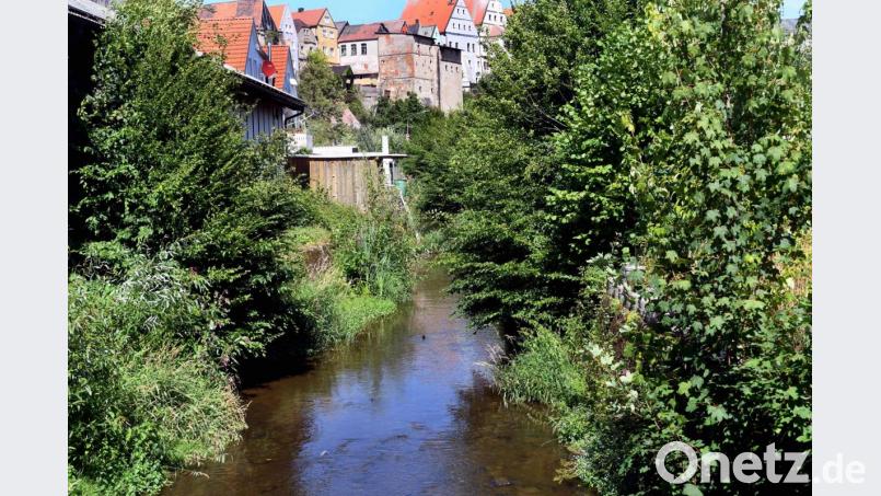 Die Floß wuchert zwischen der Firma Nachtmann und der Fröschaustraße zu. Herman Schmid befürchtet, dass dies bei einem starken Regen zu Überschwemmungen führen könnte. Bild: Gabi Schönberger