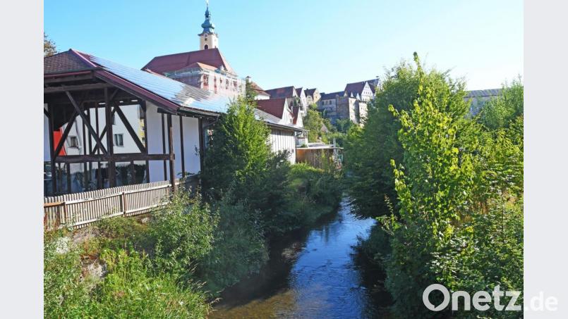 Die Floß wuchert zwischen der Firma Nachtmann und der Fröschaustraße zu. Herman Schmid befürchtet, dass dies bei einem starken Regen zu Überschwemmungen führen könnte. Bild: Gabi Schönberger