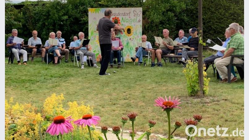 Ein idyllisches Plätzchen hatte der Männergesangverein "Max Reger" zu einer weiteren Singstunde im Freien am Nageler See gefunden. Bild: Ilona Daubner/exb